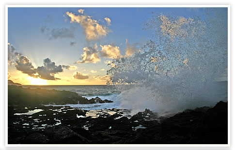 �n���C�A���R�A�Ƌ�